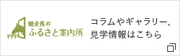 競走馬のふるさと案内所 コラムやギャラリー、見学情報はこちら 新しいウィンドウで開く